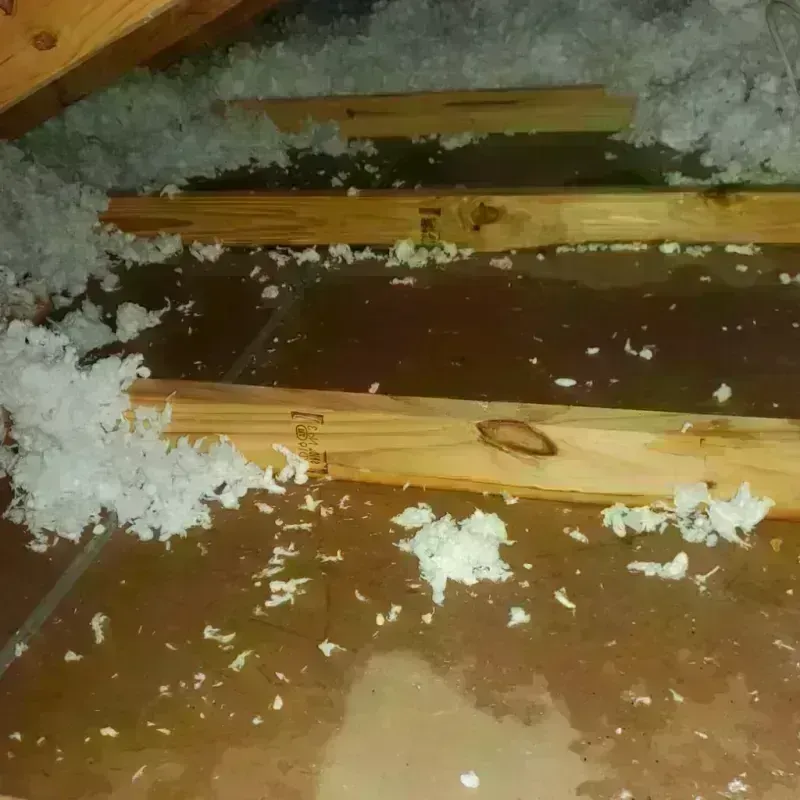 Attic Water Damage in Pulaski County, GA