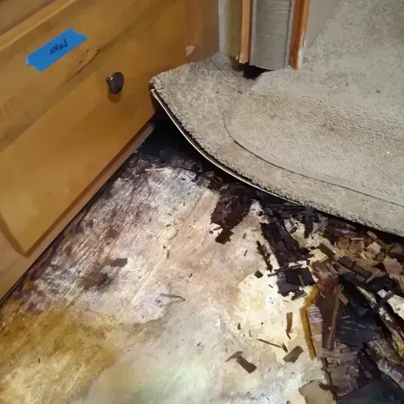 Wood Floor Water Damage in Pulaski County, GA